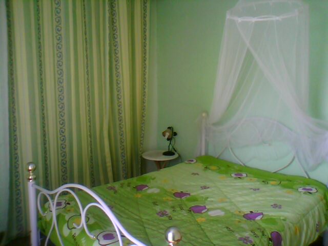 Chambre Iguane de la villa Man'Cina