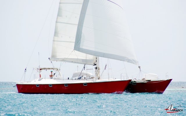 Talamanca