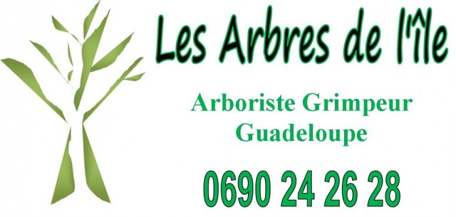 Les Arbres de l'île