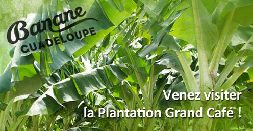 Plantation Grand Café Belair