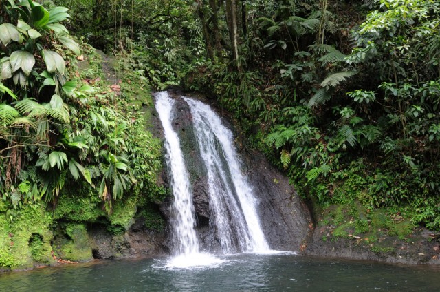 Le Jardin d'eau