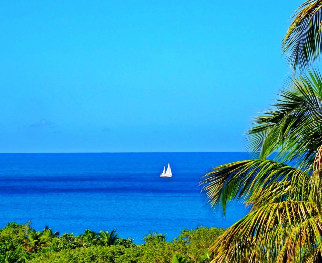 Gîtes Mangoplaya