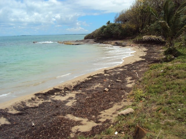 La plage de Vinty