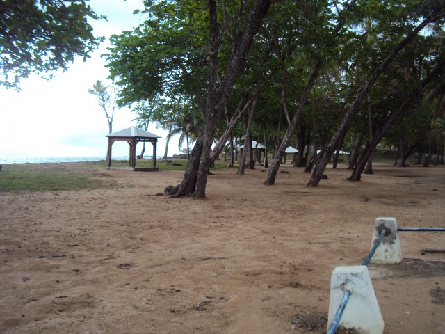 Plage des Amandiers