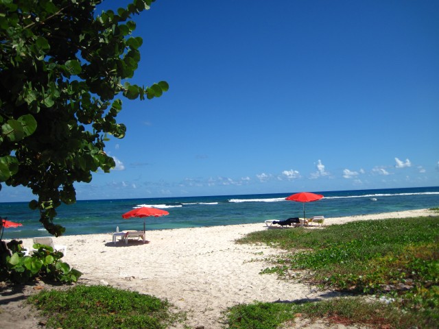 Plage des Raisins Clairs à Saint François