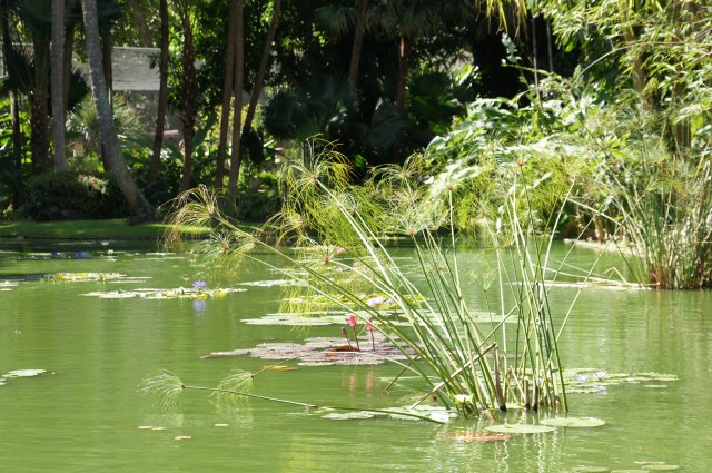 Jardin de l'Habitation Murat