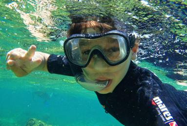 SEATOUR SNORKELING