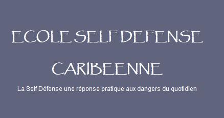 Ecole Self Defense Caribeenne